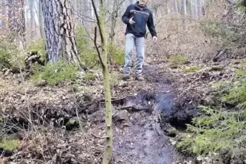 Ende einer Abfahrt: Förster Robert Kirchner an einer Wegböschung, von der sich die illegale Radstrecke in den Wald hineinzieht.
