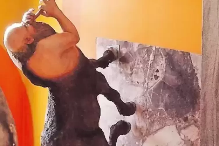 Robert Wilson durfte 1997 die R&auml;ume der Villa Stuck erkunden. Er hinterlie&szlig; einen Centaur, der eine Wand hochtrabt.