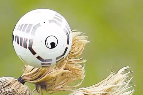 Der SV Dammheim will Frauenfußball in die Stadt bringen.