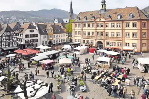 Ein Frühlingsmarkt wird sich am Sonntag in Neustadt unter anderem über den Marktplatz erstrecken.