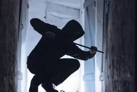 Kein seltenes Bild: 29 Prozent aller Straftaten im Zuständigkeitsbereich der Polizeiinspektion Landstuhl sind sogenannte Eigentu
