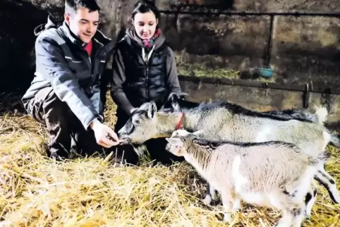 Andreas Veith und Laura Veit mit den im Januar geborenen Babyziegen in Battweiler.
