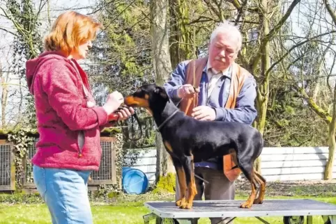 Zara vom Appeltal mit Frauchen Gitta Lamb stellt sich den strengen Augen von Richter Dietmar Freudenberger.