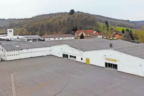 Wird versteigert: das Anwesen in der Kuseler Industriestraße, in dem in den vergangenen Jahren ein Wasgau-Markt war.