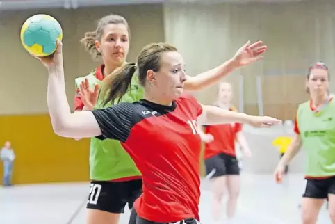 Handball in der Goldberghalle: 2016 war das noch möglich, heute müssen die Sportvereine in andere Orte ausweichen.