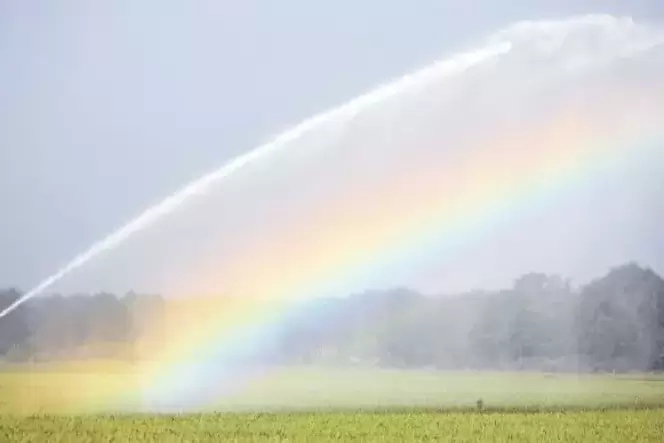 Die Landwirte erwarten von der zentralen Beregnung besseres Wasser für ihre Felder. Bürger, deren Keller von Nässe bedroht sind, Die Landwirte erwarten von der zentralen Beregnung besseres Wasser für ihre Felder. Bürger, deren Keller von Nässe bedroht sind,