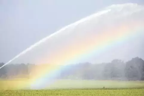 Die Landwirte erwarten von der zentralen Beregnung besseres Wasser für ihre Felder. Bürger, deren Keller von Nässe bedroht sind,