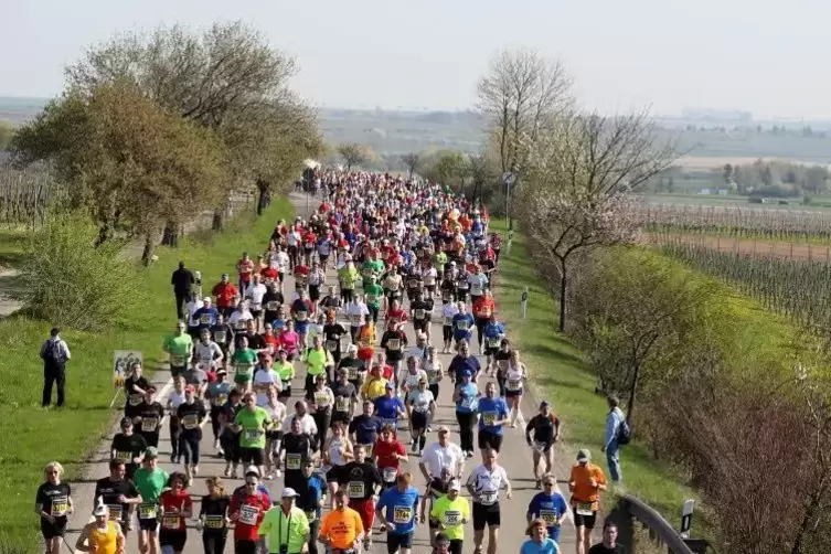 Reizvolle Kulisse: Der Marathon Deutsche Weinstraße zieht Läufer aus der ganzen Welt an.  Foto: Kreisverwaltung Bad Dürkheim/fre