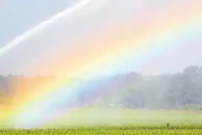 Die Landwirte erwarten von der zentralen Beregnung besseres Wasser für ihre Felder. Bürger, deren Keller von Nässe bedroht sind, Die Landwirte erwarten von der zentralen Beregnung besseres Wasser für ihre Felder. Bürger, deren Keller von Nässe bedroht sind,