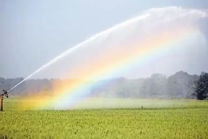 Die Landwirte erwarten von der zentralen Beregnung besseres Wasser für ihre Felder. Bürger, deren Keller von Nässe bedroht sind, Die Landwirte erwarten von der zentralen Beregnung besseres Wasser für ihre Felder. Bürger, deren Keller von Nässe bedroht sind,
