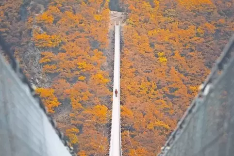 Die Hängebrücke Geierlay im Hunsrück. Sie überspannt das Mörsdorfer Bachtal. Das Foto ist im Bildband der „German Roamers“ ersch
