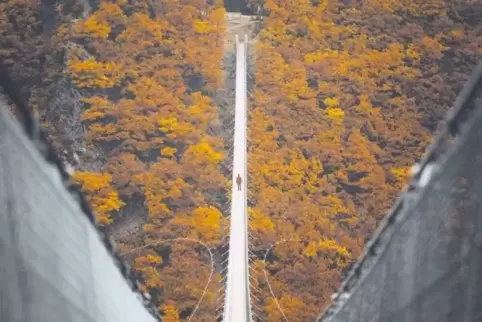 Die Hängebrücke Geierlay im Hunsrück. Sie überspannt das Mörsdorfer Bachtal. Das Foto ist im ebenfalls Bildband der „German Roam