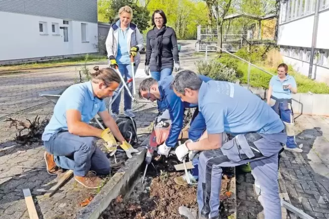 VR-Bank Mitarbeiter legen ein grünes Klassenzimmer in der Realschule Bellheim an.