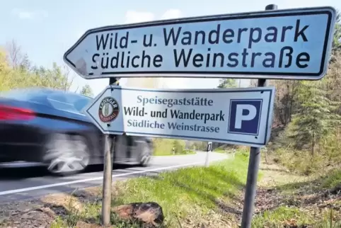 Auf der Höhe des Parkplatzes beim Wild- und Wanderpark soll der Angeklagte sein lebensgefährliches Überholmanöver gestartet habe