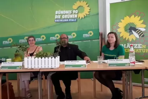 Jutta Paulus (links), Landesvorsitzender Josef Winkler und Pressesprecherin Catrin Müller. Foto: kad 