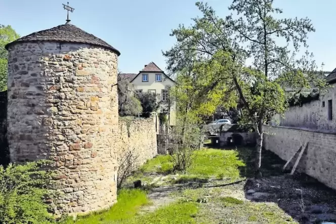 Noch sieht es im Schlossgraben trostlos aus. Das soll sich ändern.