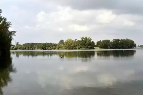Naturschützer wollen den Silbersee in Bobenheim-Roxheim vor „dem Kommerz“ bewahren. Gemeint ist der Plan, auf der Halbinsel Scha