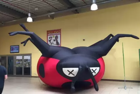 Mit einem riesigen auf dem Rücken liegenden Marienkäfer im Foyer der Messehalle in Idar-Oberstein weisen die Grünen auf den Rück
