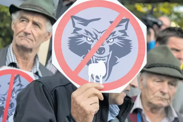 Bei einer Demonstration im vergangenen Oktober in M&uuml;nchen klagen rund 250 Bauern &uuml;ber die R&uuml;ckkehr des Wolfes nach Deutschland. 