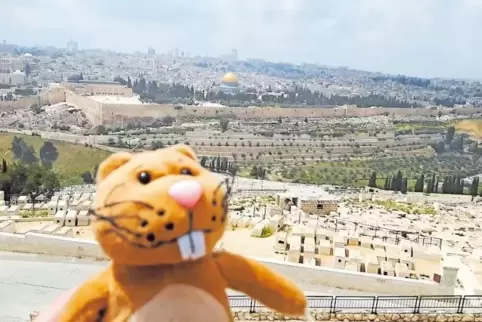 Ganz viele Eindrücke: Nils besuchte auch Jerusalem.