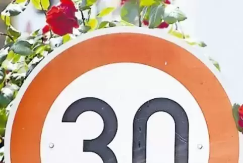 Von den Anwohnern in der Carl-Zimmermann-Straße in Dudenhofen ersehnt: Tempo 30.