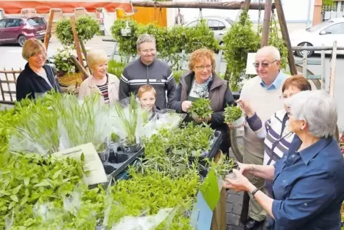 Beantwortet Fragen rund um das Thema Kräuter: Hofladen-Inhaberin Sabine Zürker (Mitte) bei den Kräutertagen 2014 in Dudenhofen.