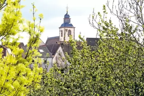 Ein Dorf im Grünen am Donnersberg: In der rund 800 Einwohner zählenden Ortsgemeinde Steinbach soll auf einem Grundstück der Geme