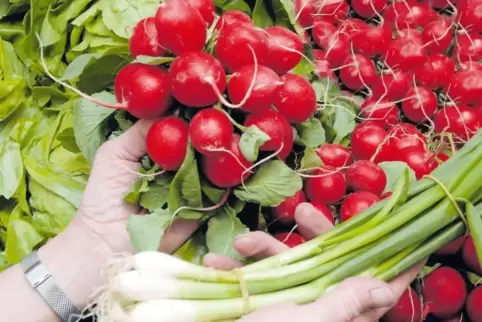 Bundzwiebeln und Radieschen sind am stärksten nachgefragt beim Pfalzmarkt.