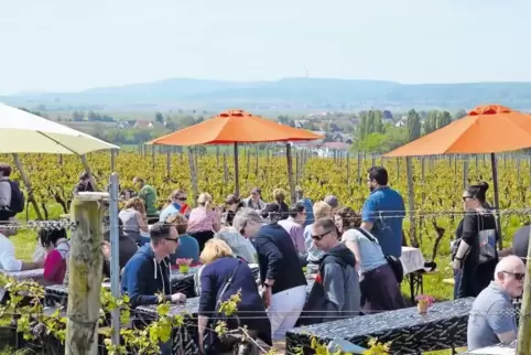 Regionaler Wein und strahlender Sonnenschein: Besucher genießen die Kirchheimer Weinwanderung.