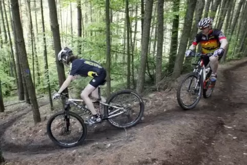 Eine Tour durch den Wald endete für einen Radler am Dienstagmorgen mit einem schweren Unfall. Foto:VIEW 