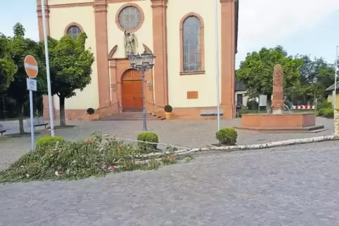 Im zweiten Anlauf gelang die Tat und der abgesägte Maibaum lag in Hagenbach vor der Kirche. Inzwischen steht er wieder.