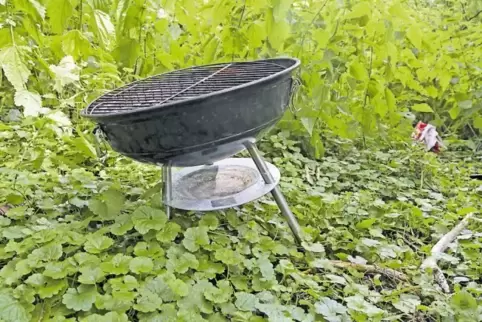 Die Geldstrafen fürs Grillen im Wald sind erheblich, im Mutterstadter Fall drückte das Ordnungsamt ausnahmsweise beide Augen zu.