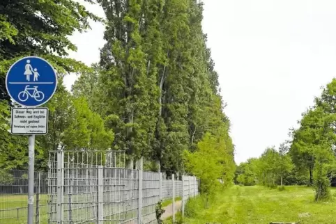 10.000 Quadratmeter zwischen der Straße Am Kanal und dem Nachtweideweg: Im südlichen Teil des Geländes (unser Bild) wäre der Wun