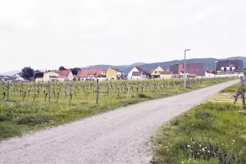 Im Neubaugebiet D5 – hier der Blick von der Bahnlinie aus Richtung St.-Martinsweg – sollen 25 Bauplätze entstehen.