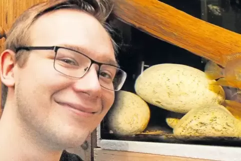 In sechs großen Aquarien hält Fabian Deuschle seine Fische. Sie sind extra nur sparsam beleuchtet und enthalten kaum Pflanzen.