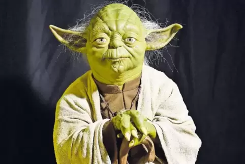 Was Meister Yoda wohl zu der Studie sagen würde?