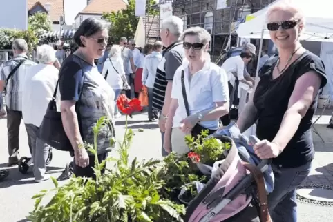 Zum Kräuterwagen umfunktionierter Kinderwagen: Die Wachenheimer wissen sich zu helfen.
