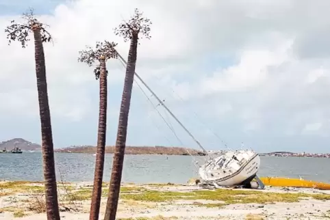 Zerstörte Palmen, gestrandetes Boot: Hurrikan Irma hat die Karibikinsel Saint Martin im September verwüstet.