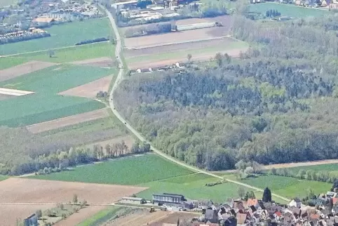 Die Straße zwischen Schwegenheim (oben) und Harthausen: Daneben soll ein 3,50 Meter breiter Radweg gebaut werden.