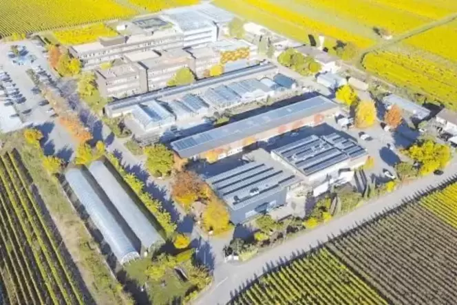Das zwei Hektar große Gelände des DLR in Mußbach, auf dem auch der Weincampus zu Hause ist. Das zwei Hektar große Gelände des DLR in Mußbach, auf dem auch der Weincampus zu Hause ist.