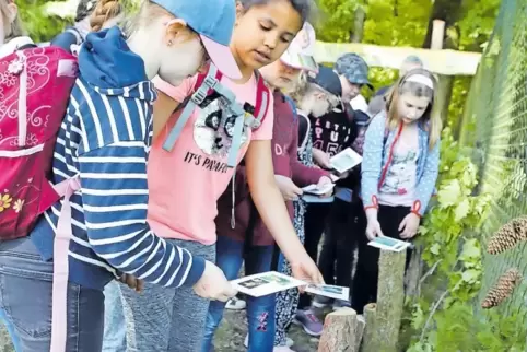 Schüler der Tullaschule Maximiliansau bestimmen Bäume.
