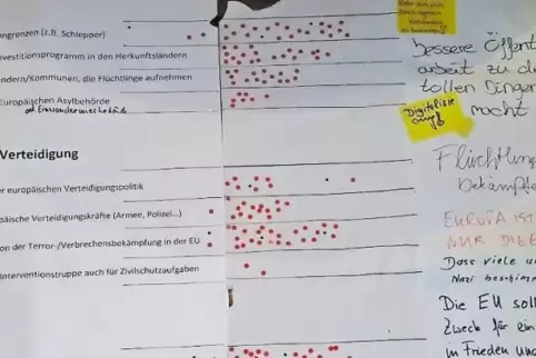 Zum Mitmachen: Pulse of Europe fragt Bürgermeinungen ab.