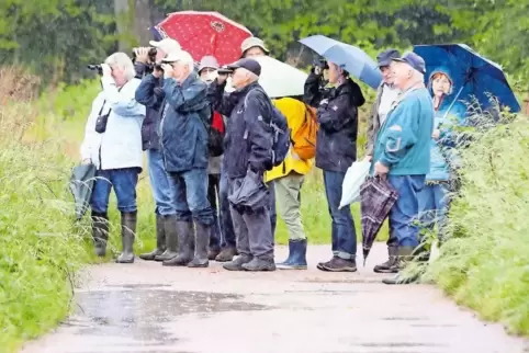 Dank Ferngläsern haben die Frühlingswanderer auch bei Regen gute Sicht.