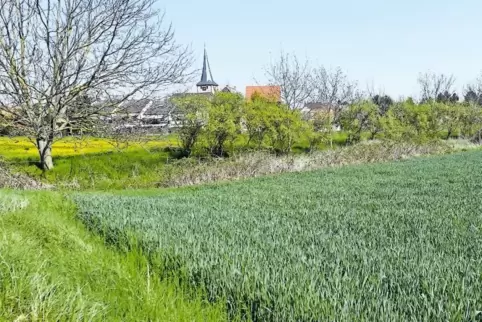 Nach neuen Erkenntnissen gibt es nur eine „marginale Überschwemmungsgefahr“ im künftigen Baugebiet Hornungsfleck.