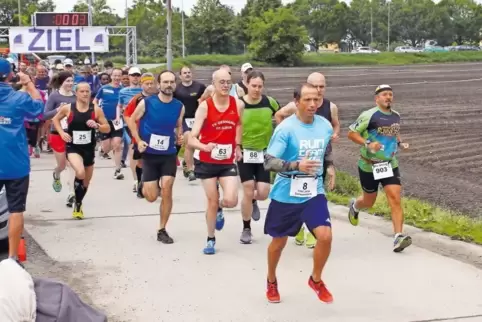 95 Prozent der Strecke beim Jubiläumslauf des SV Schauernheim verlaufen über Feldwege. Dass sie sauber sind, war für die ORganis