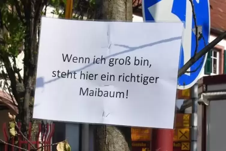 Den Spaß, den sich die Unbekannten mit dem Pflanzen des Bäumchens gemacht haben, hat einen ernsten Hintergrund. Foto: Mehn