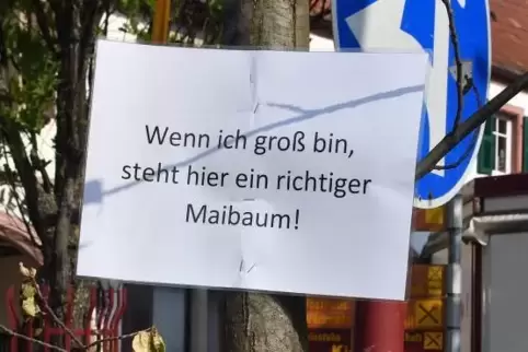 Den Spaß, den sich die Unbekannten mit dem Pflanzen des Bäumchens gemacht haben, hat einen ernsten Hintergrund. Foto: Mehn