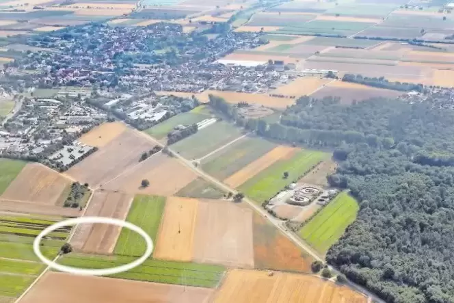 Hoffnung auf Erdöl-Fund: Auf einem Grundstück östlich der L 537 bei Schwegenheim soll die Probebohrung stattfinden. Hoffnung auf Erdöl-Fund: Auf einem Grundstück östlich der L 537 bei Schwegenheim soll die Probebohrung stattfinden.