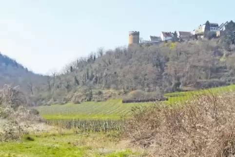 Blick auf Neuleiningen an einer Stelle, wo der seit langem geplante Radweg zwischen Grünstadt und Altleiningen verlaufen soll. D