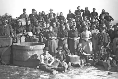 Die historische Aufnahme aus dem Jahr 1897 zeigt Tagelöhner des Weinguts Bassermann-Jordan bei der Lese in der Deidesheimer Lage